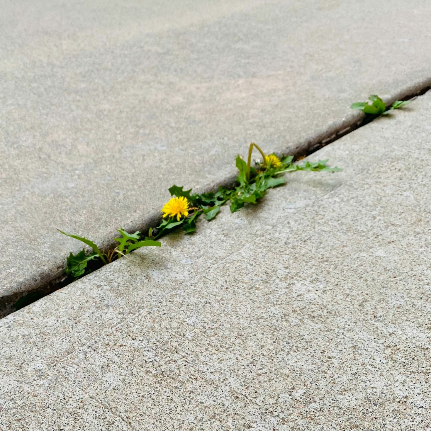 Overcoming Doubt Through The Art Of Writing
